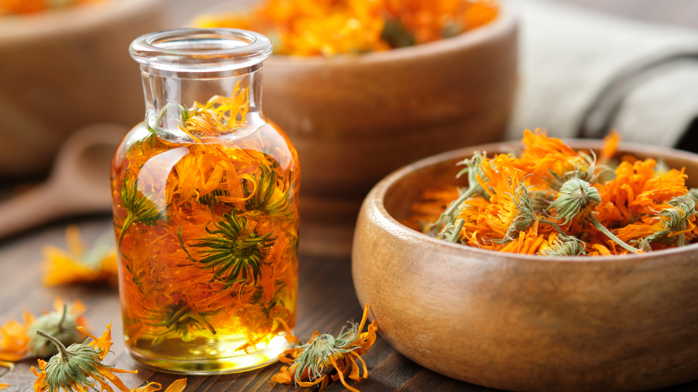 Why Calendula is a Must-Have in Organic Skincare: Top Benefits