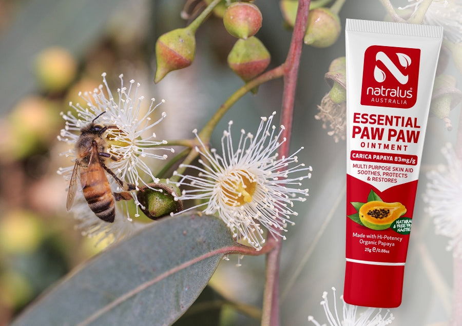 Australia'a favourite Natural Paw Paw Ointment
